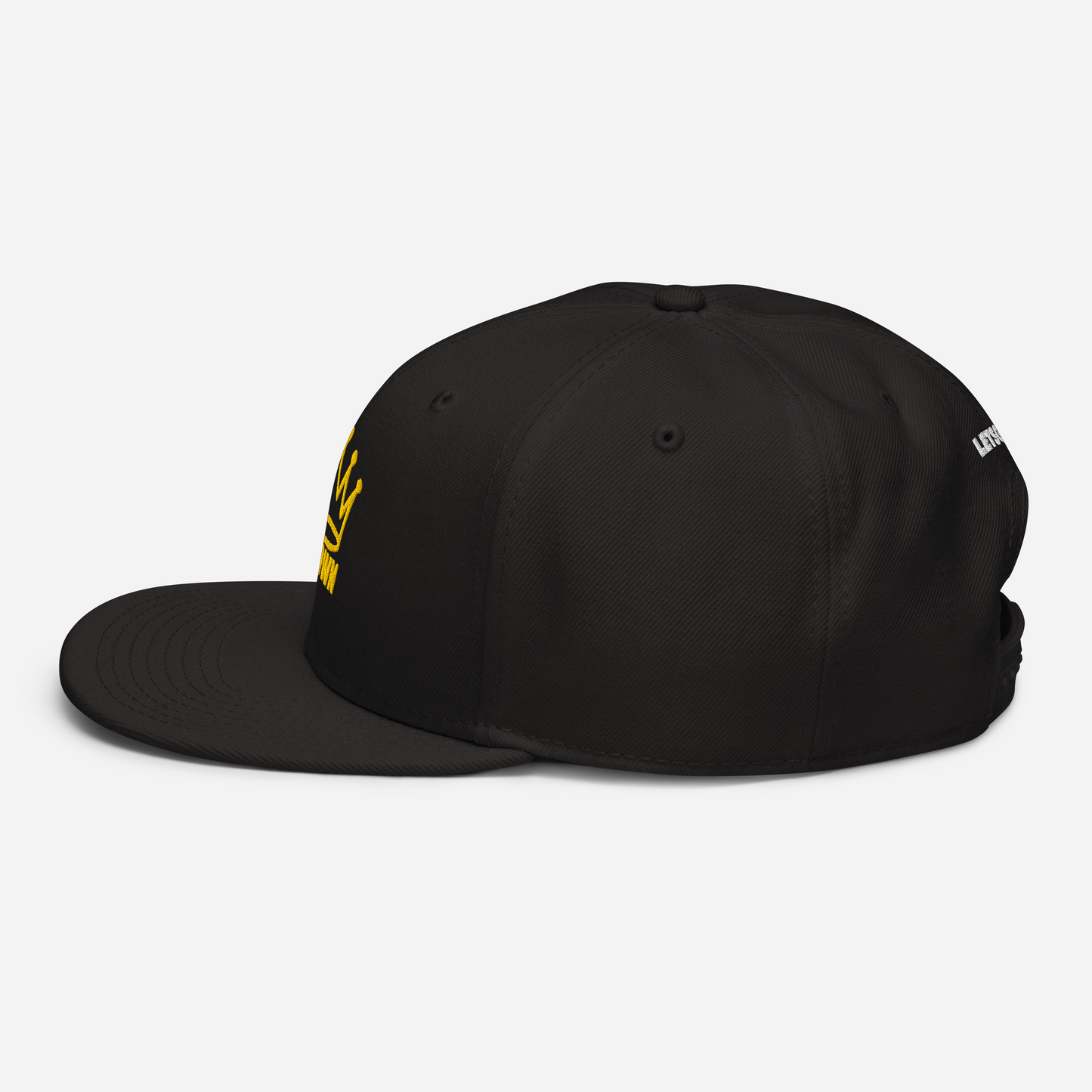CROWN PICKLEBALL - Corona Snap-back Hat (Black)